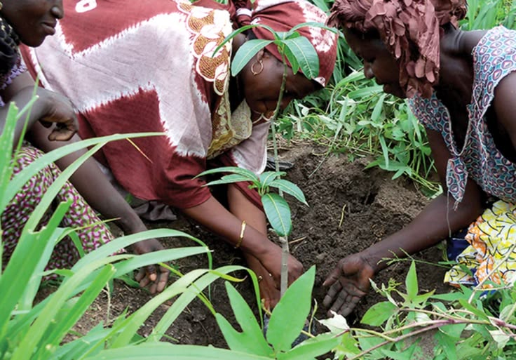 Tree planting initiative in Machakos County for environmental conservation